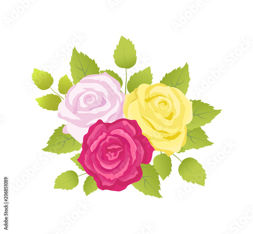 Bouquet of Roses Poster Set Vector Illustration