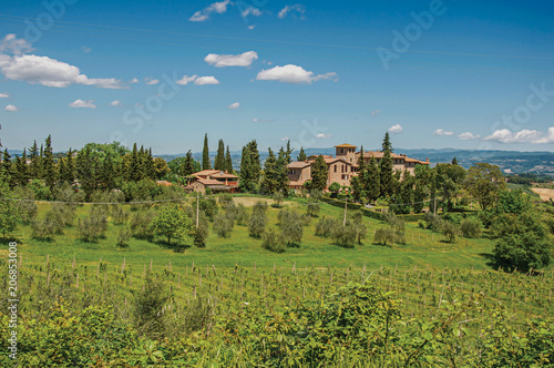 View of olive trees, vineyards and hills with villa at the top in the Tuscan countryside, an unbelievable and traditional region in the center of the Italian Peninsula. Located in the Tuscany region 