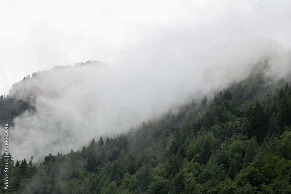 Plakat mgliste chmury powstające z ciemnego alpejskiego lasu górskiego