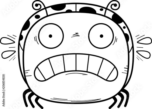 Scared Little Ladybug