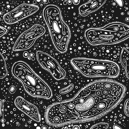 Infusoria Hand drawn pattern