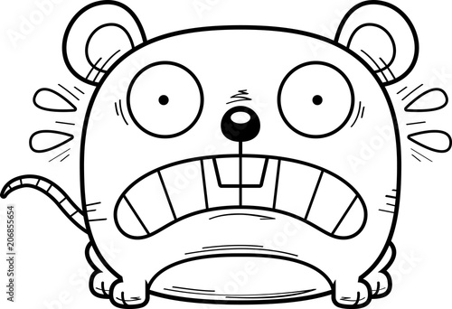 Terrified Little Mouse