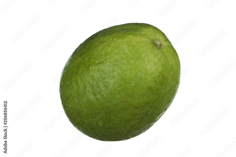 fresh guava isolated on white background fresh guava isolated on white background