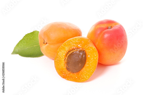apricot and leaf