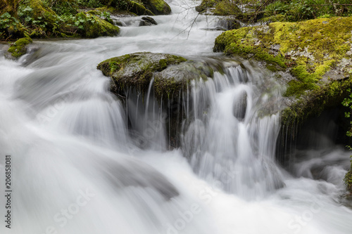 Fototapeta Naklejka Na Ścianę i Meble -  Torrent of water from the Naviego River in the Leitariegos Valley, Asturias, Spain.