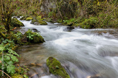 Torrent of water from the Naviego River in the Leitariegos Valley, Asturias, Spain.
