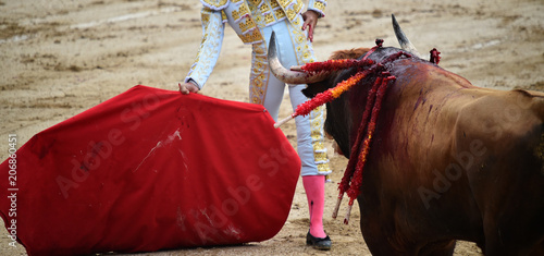 bullfight in spain