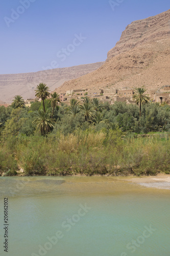 Oasis in Morocco