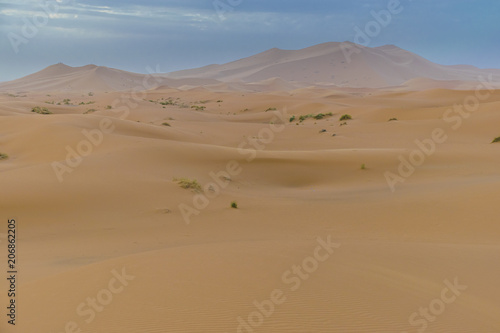 Merzouga desert