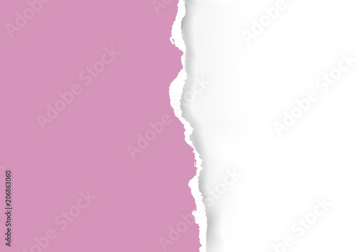 Pink ripped paper background. 
llustration of pink ripped paper with place for your image or text. Vector available. 