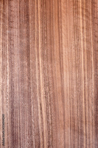 texture of veneer walnut