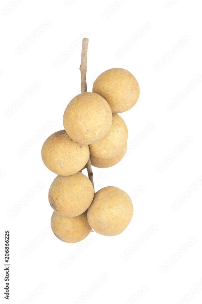 branch of longan isolated on white background branch of longan isolated on white background