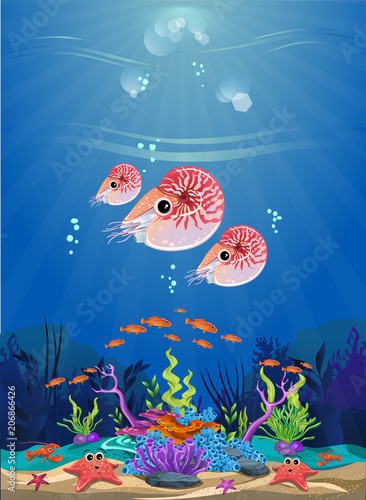 the beauty of the sea. there are fish and corals.