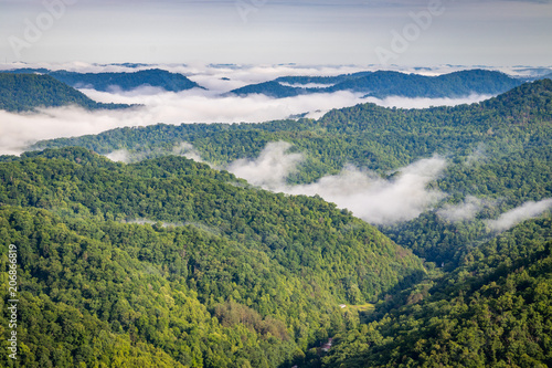 Morning in Appalachia