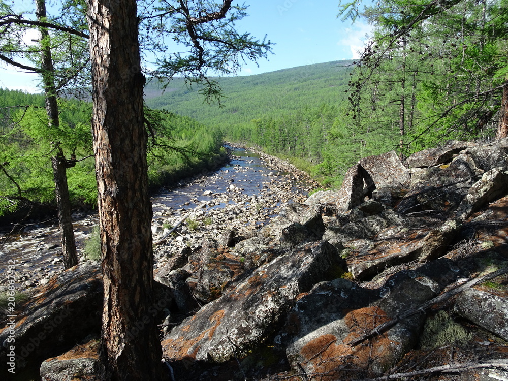 view from the cliff to the tributary of the river view from the cliff to the tributary of the river