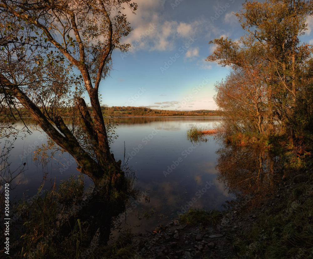 Fototapeta premium Wild creeks