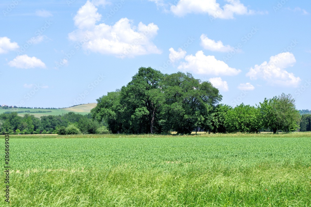 regione Marche,paesaggio,natura,cielo,alberi regione Marche,paesaggio,natura,cielo,alberi