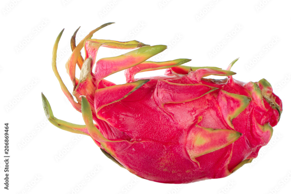 pitahaya isolated on white background pitahaya isolated on white background