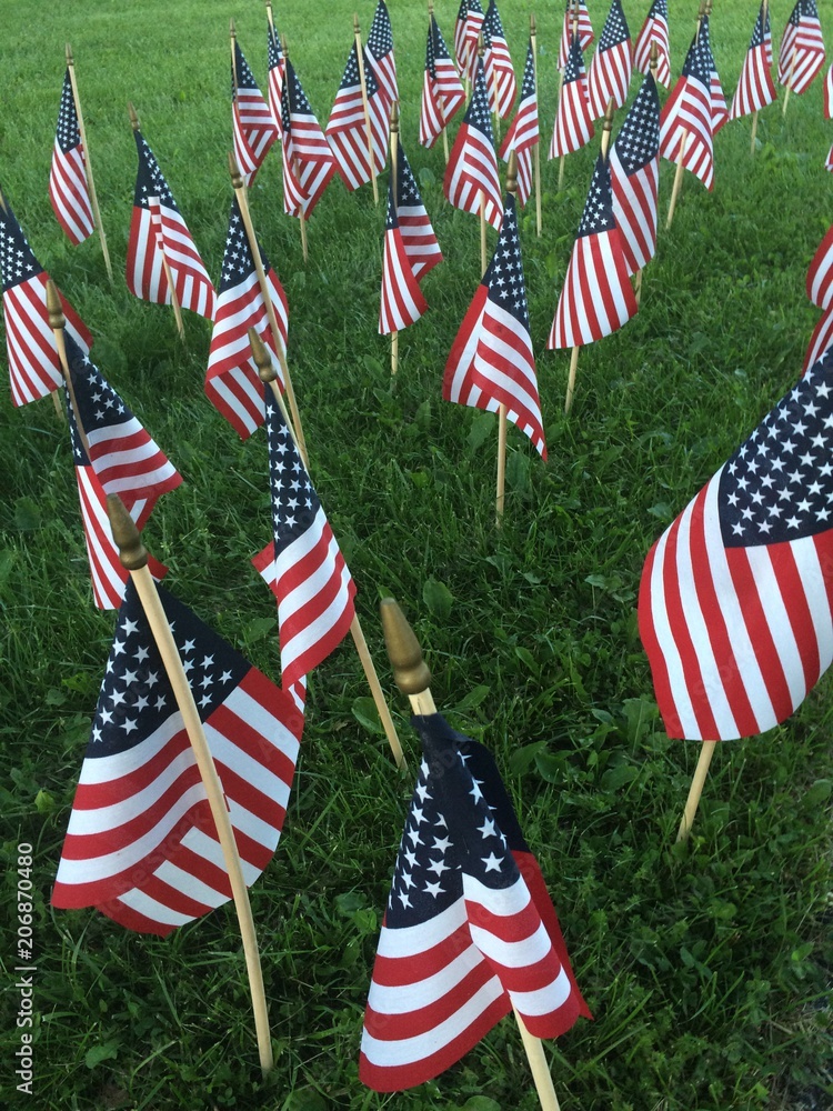 American flags in grass