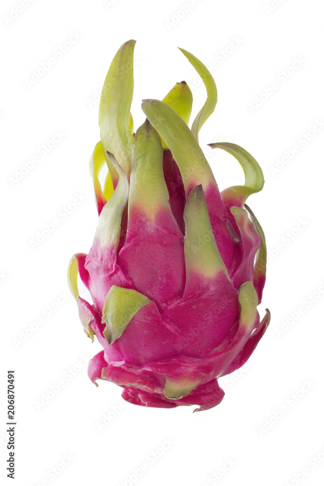 pitahaya isolated on white background pitahaya isolated on white background