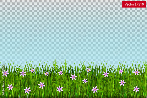 green grass with flowers on a transparent background. Vector