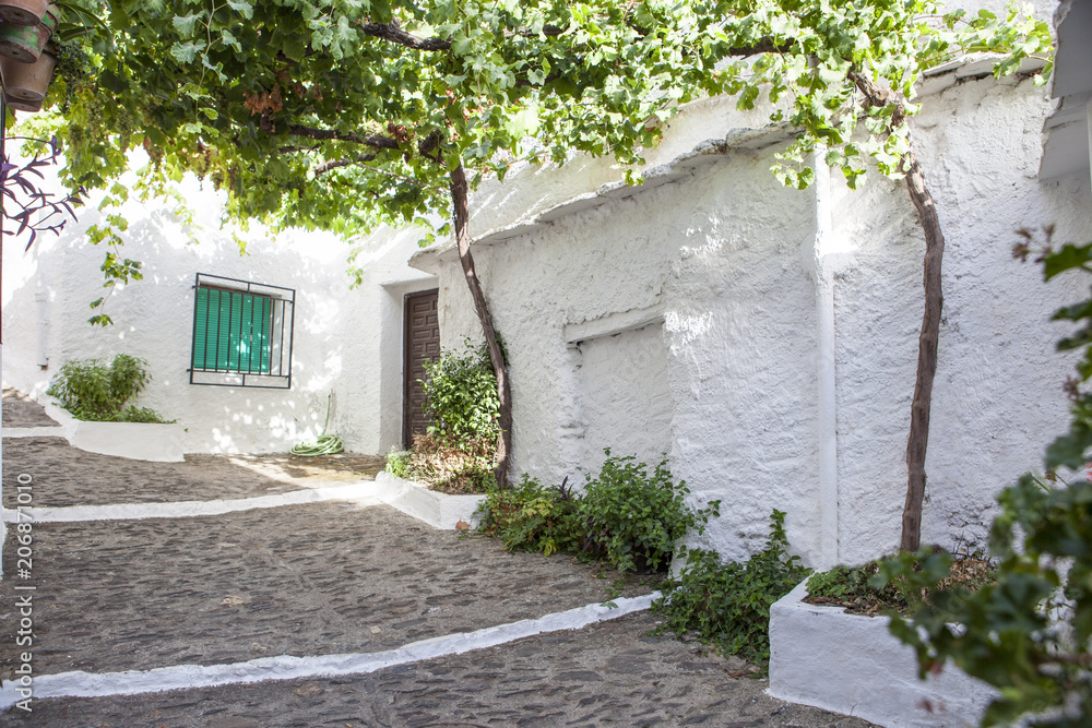 Obraz premium Sloped street of covered by vine arbor, Alpujarras, Spain