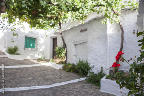 Sloped street of covered by vine arbor  Alpujarras  Spain