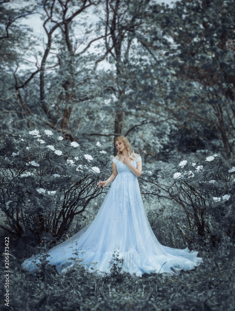 A beautiful blonde girl, a model size plus, walks in a botanical, blooming garden against the backdrop of a pioneering peony. The girl has a luxurious, lush blue dress, like a princess. Art Photo A beautiful blonde girl, a model size plus, walks in a botanical, blooming garden against the backdrop of a pioneering peony. The girl has a luxurious, lush blue dress, like a princess. Art Photo
