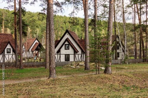 European village in a pine forest