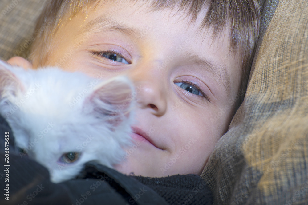A young and cheerful little boy is playing with a white cat on the couch A young and cheerful little boy is playing with a white cat on the couch