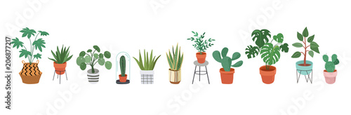 Urban jungle, trendy home decor with plants, planters, cacti, tropical leaves