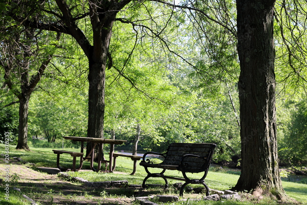 The park is green this spring.