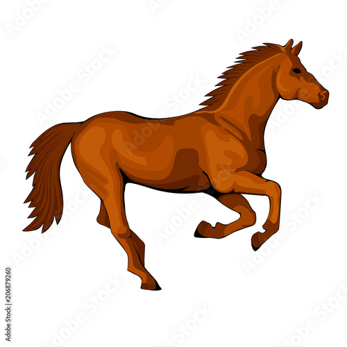 Horse running at a gallop figure
