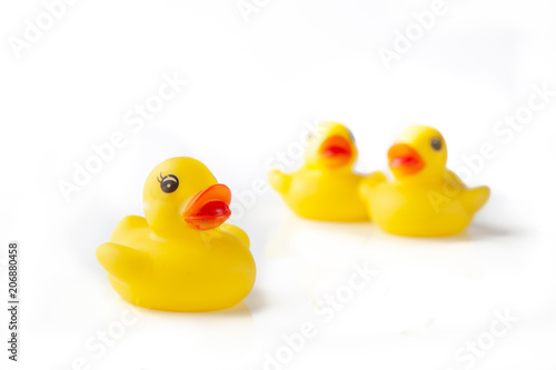 3 Yellow rubber ducks on white background
