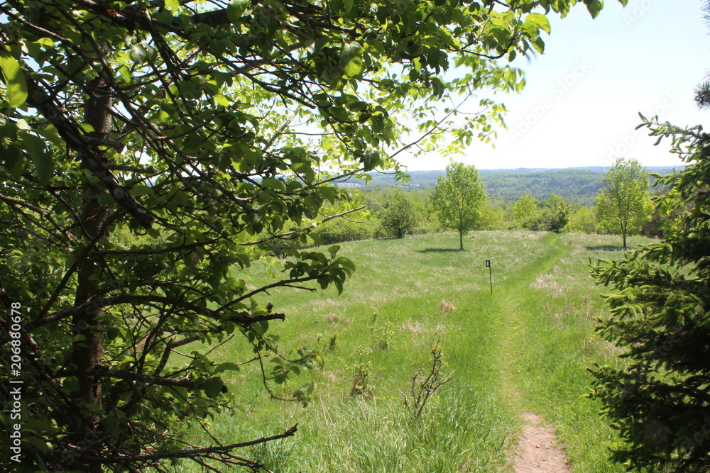 Field Path Field Path