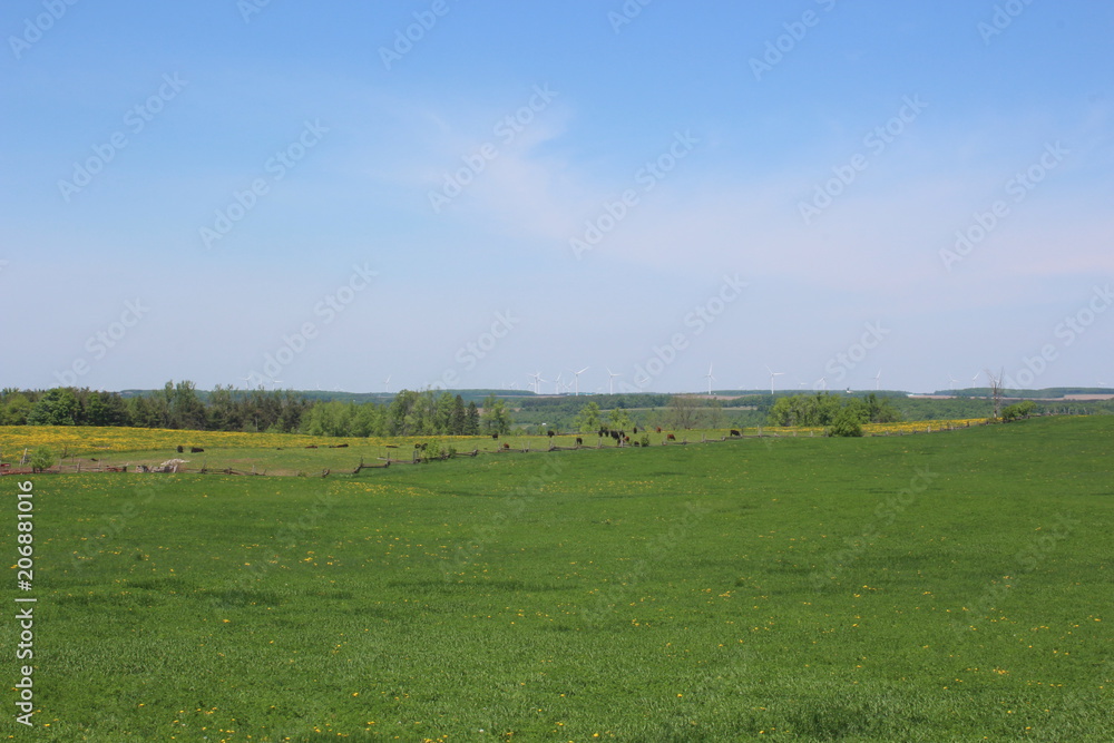 Fototapeta premium Country Side