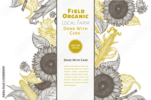Sunflower and corn gesign template. Sunflower banner. Vector hand drawn illustration. Can be use for organic and natural products, restaurants and cafe.