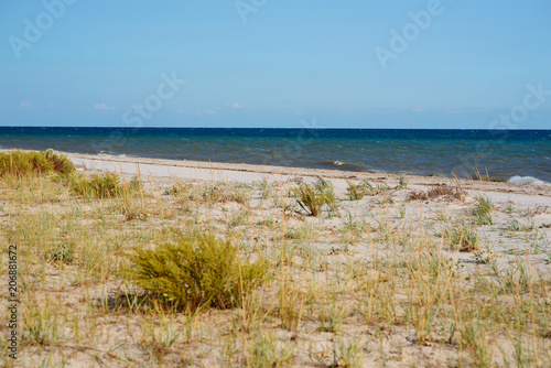 a wild beach and a pigeon sea water on a lovely sunny day