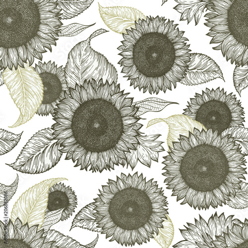 Sunflower vintage seamless pattern. Sunflower retro background. Vector hand drawn illustration.