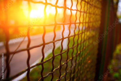 fence with metal grid in perspective