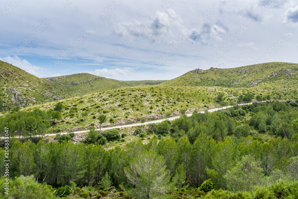 Mallorca, Road through green forest down to bay Cala Torta