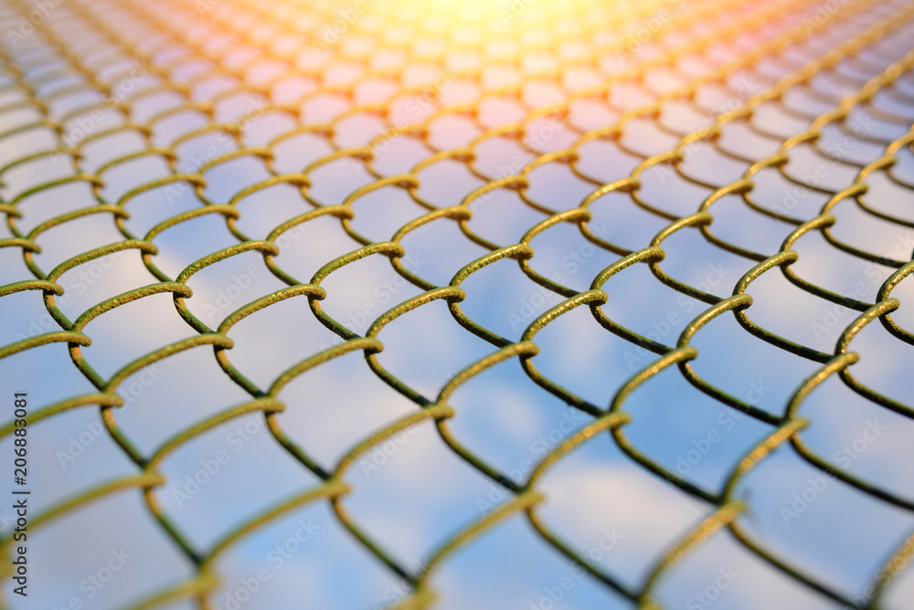 fence with metal grid in perspective