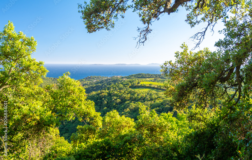 beautiful view on blue sea and green field near Ramatuelle, French Riviera, France