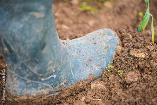 Wallpaper Mural Rubber boots in soil close up Torontodigital.ca