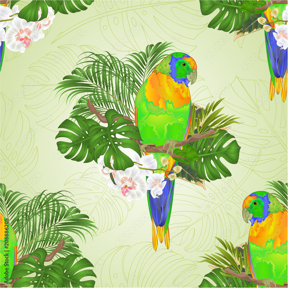 Fototapeta premium Seamless texture Sun Conure Parrot tropical bird standing on a branch white orchid Phalaenopsis on a white background vector illustration editable hand draw