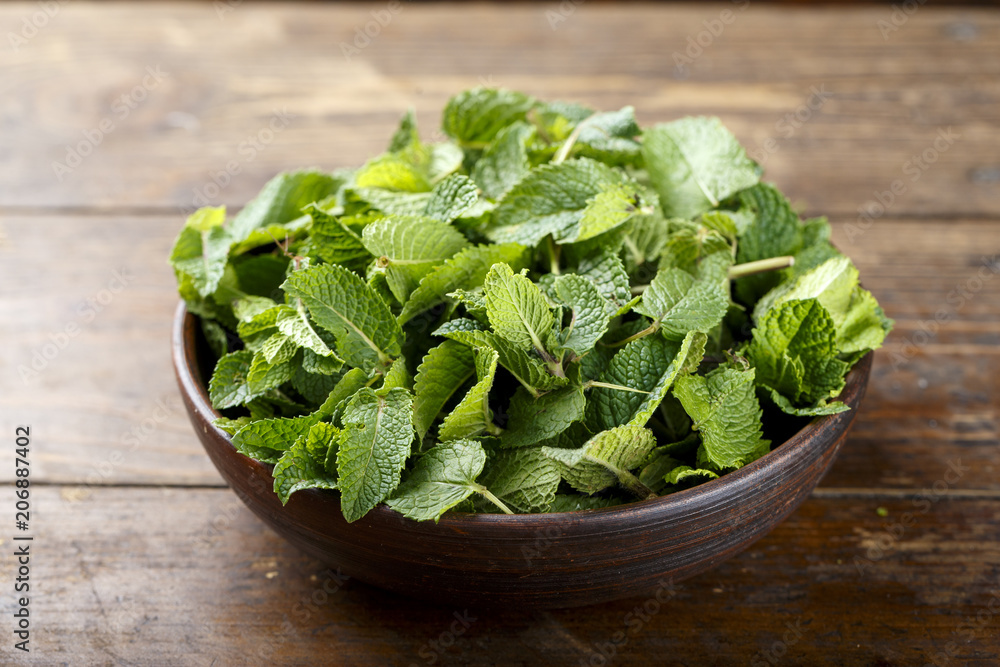 Green fresh mint om the wooden table Green fresh mint om the wooden table