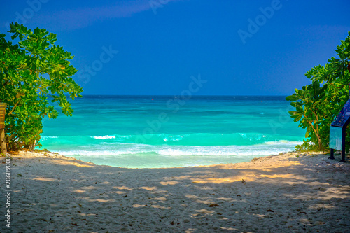Fototapeta Naklejka Na Ścianę i Meble -   Ta chai  Island blue adaman ocean Thailand