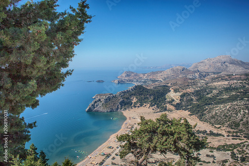 cypress on the Mediterranean Sea  view