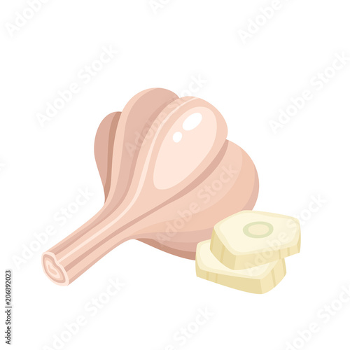 Bright vector collection of colorful different garlic isolated on white