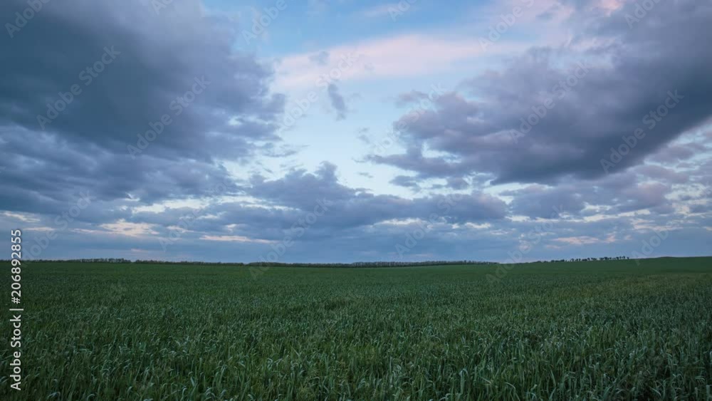 Russia, time lapse. The movement of the thunderclouds over the fields of winter wheat in early spring in the vast steppes of the Don. Russia, time lapse. The movement of the thunderclouds over the fields of winter wheat in early spring in the vast steppes of the Don.